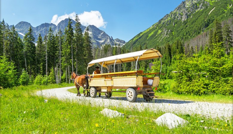 Morskie Oko Lake <span> 1/2 day private sightseeing tour </span> - 4 - Zakopane Tours